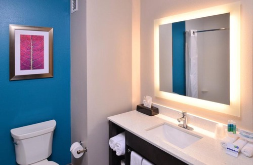 Benton Hotel | Pet-Friendly Retreat at Holiday Inn Express Bryant