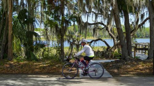 Crystal River Hotel | Cozy Retreat at Holiday Inn Express Crystal River, IHG Hotel