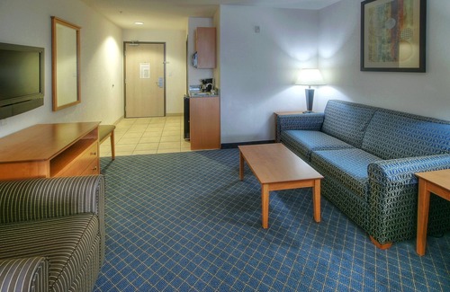 Carlsbad Hotel | Comfortable Stay at Holiday Inn Express Carlsbad with Pool