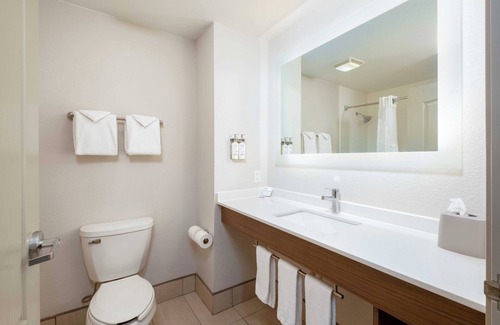 Carlsbad Hotel | Comfortable Stay at Holiday Inn Express Carlsbad with Pool