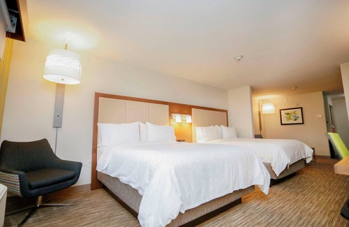 Carlsbad Hotel | Comfortable Stay at Holiday Inn Express Carlsbad with Pool