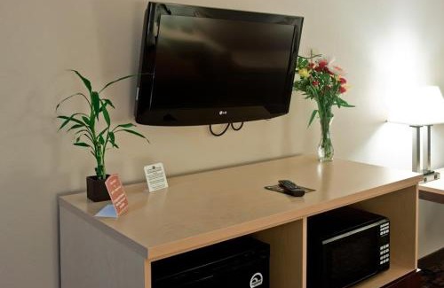 Obetz Hotel | Discover Holiday Inn Express Columbus South – Family Friendly Stay