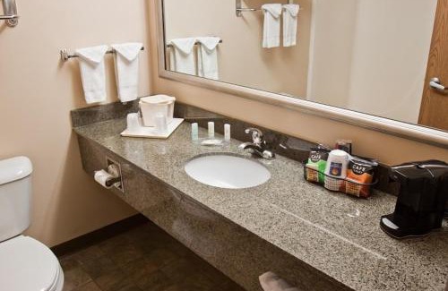 Obetz Hotel | Discover Holiday Inn Express Columbus South – Family Friendly Stay