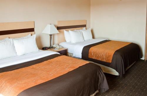 Obetz Hotel | Discover Holiday Inn Express Columbus South – Family Friendly Stay