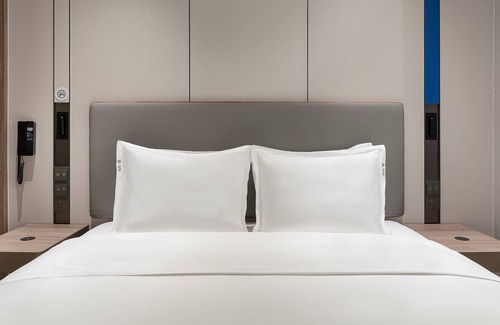Panyu Hotel | Holiday Inn Express Guangzhou University Town by IHG