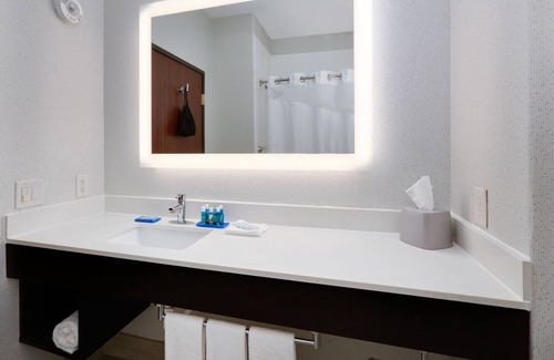 Duncanville Hotel | Comfortable Stay at Holiday Inn Express Dallas - Duncanville
