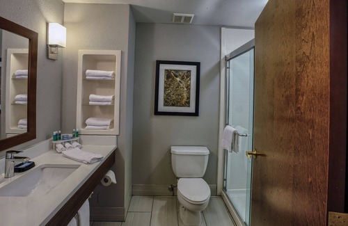 Pell City Hotel | Relax at Holiday Inn Express & Suites Pell City with Pool