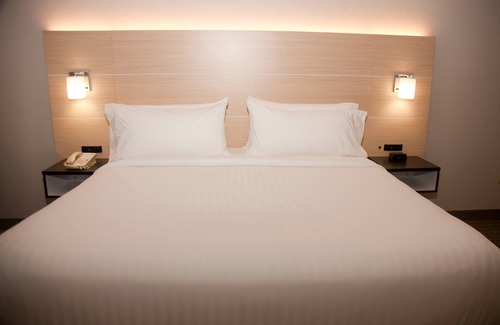 Athens Hotel | Guest Favorite: Holiday Inn Express Hotel & Suites Athens