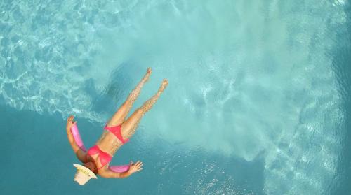 Oldsmar Hotel | Pet-Friendly Holiday Inn Express Tampa-Oldsmar with Pool