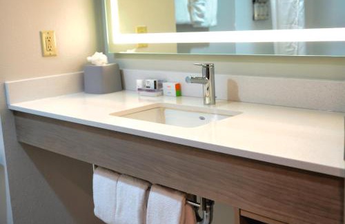 Oldsmar Hotel | Pet-Friendly Holiday Inn Express Tampa-Oldsmar with Pool