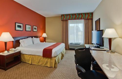 Oldsmar Hotel | Pet-Friendly Holiday Inn Express Tampa-Oldsmar with Pool