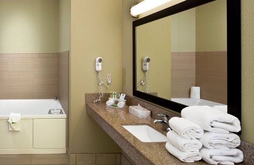 Saginaw Hotel | Discover Holiday Inn Express Hotel & Suites Saginaw Comfort