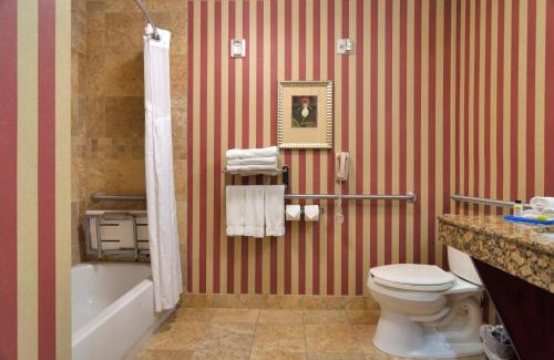 Hurst Hotel | Top-Rated Holiday Inn Express DFW West with Ocean View
