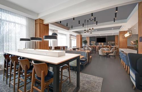 The Galleria Hotel | Pet-Friendly Holiday Inn Express in the Galleria Area