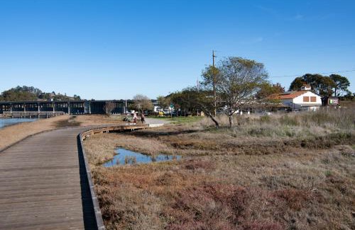 Almonte Hotel | Pet-Friendly Holiday Inn Express Mill Valley Near San Francisco
