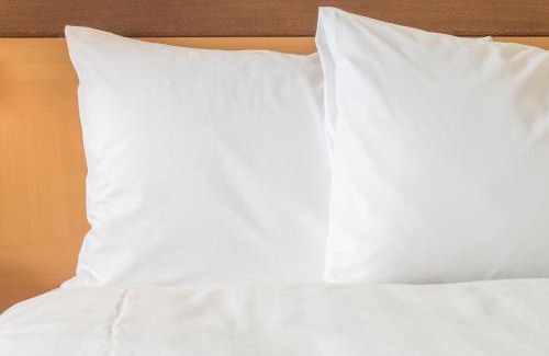 Rhinelander Hotel | Discover Holiday Inn Express & Suites Rhinelander, IHG Hotel