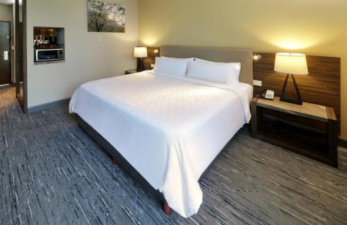 San Pedro Garza Garcia Hotel | Discover Holiday Inn Express Monterrey Valle - Guest Rated 9.1