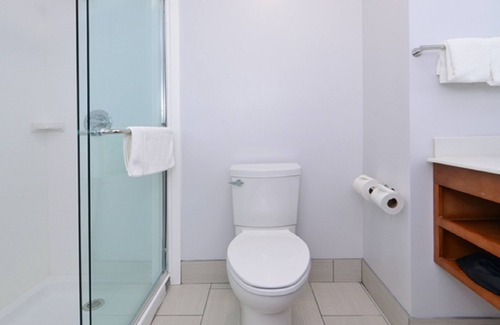 Lexington Hotel | Comfortable Holiday Inn Express & Suites Lexington Midtown