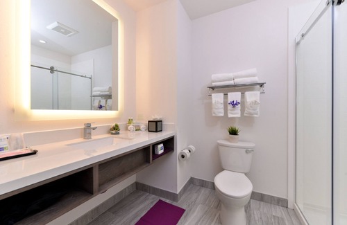 Mission Valley West Hotel | Discover Holiday Inn Express & Suites in Mission Valley