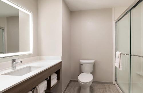 Opelousas Hotel | Pet-Friendly Holiday Inn Express & Suites Opelousas Awaits