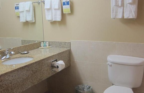 Halifax Hotel | Pet-Friendly Holiday Inn Express & Suites Halifax - Bedford