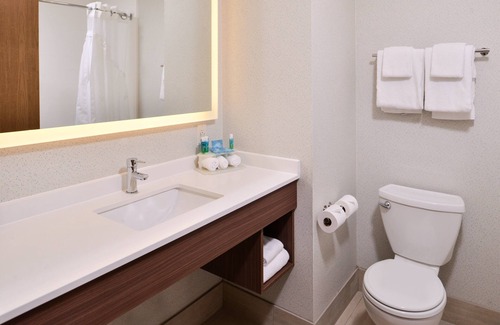 Lacey Hotel | Top-Rated Holiday Inn Express & Suites Lacey – Olympia