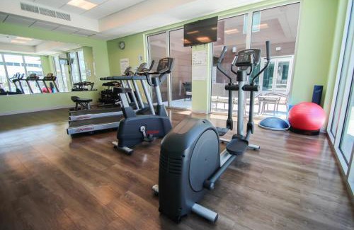 Seybold Hotel | Relax at Holiday Inn Express Miami Airport with Pool & Hot Tub
