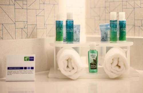 Seybold Hotel | Relax at Holiday Inn Express Miami Airport with Pool & Hot Tub
