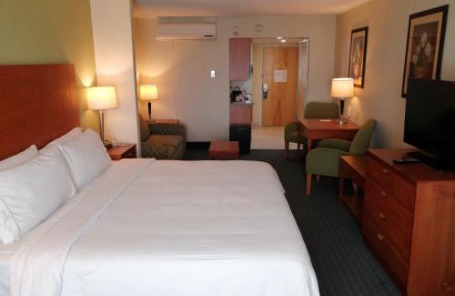 Toluca Hotel | Modern Holiday Inn Express & Suites Toluca Zona Aeropuerto