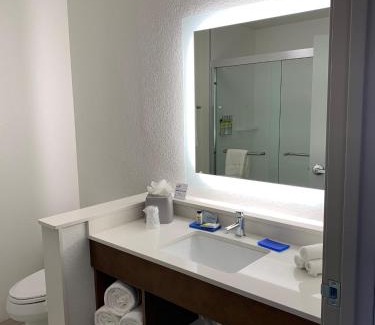 Chambers Heights Hotel | Pet-Friendly Holiday Inn Express near Aurora Medical Campus
