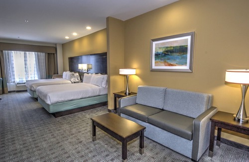 Sweetbriar Hotel | Discover Holiday Inn Express & Suites Austin South Today!