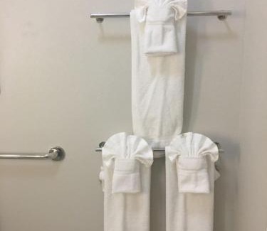 Brenham Hotel | Experience Comfort at Holiday Inn Express & Suites Brenham