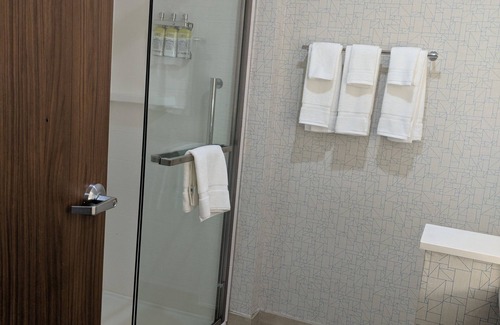 Dallas Hotel | Comfortable Holiday Inn Express & Suites Dallas North - Addison