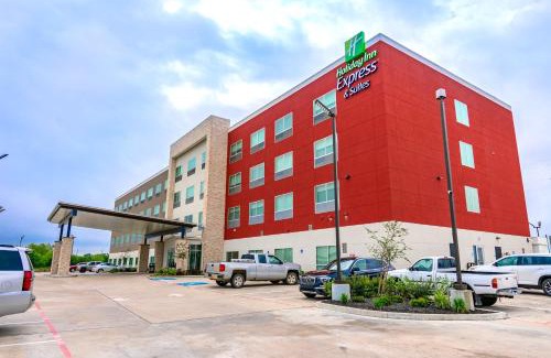 Aldine Hotel | Comfortable Stay at Holiday Inn Express & Suites Houston IAH