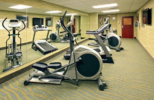 Maumelle Hotel | Discover Holiday Inn Express & Suites Maumelle: Pet Friendly Stays