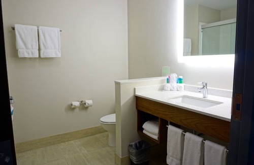 Millard Hotel | Comfortable Stay at Holiday Inn Express Omaha - Millard Area