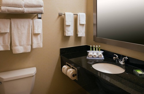 Roselle Hotel | Relax at Holiday Inn Express & Suites Chicago West-Roselle