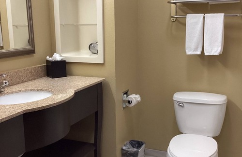 Ira Hotel | Comfortable Stay at Holiday Inn Express & Suites Snyder