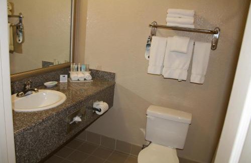 Union City Hotel | Discover Holiday Inn Express Union City, San Jose with Pool