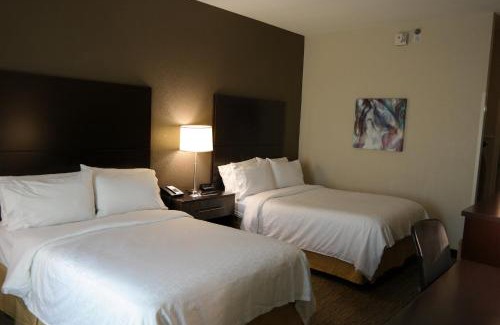 Fredericksburg Hotel | Relax at Holiday Inn Express Fredericksburg - Pet Friendly Stay