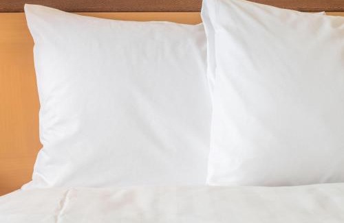 Rehoboth Beach Hotel | Cozy Holiday Inn Express & Suites Rehoboth Beach Escape