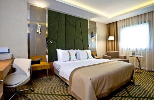 Gaziantep Hotel | Pet-Friendly 4-Star Holiday Inn Gaziantep with Spa Retreat