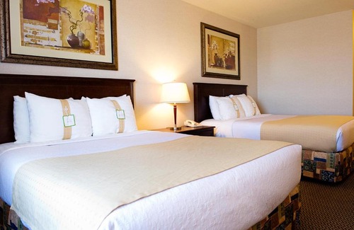 Northwest Edmonton Hotel | Pet-Friendly Holiday Inn & Suites-West Edmonton Awaits You