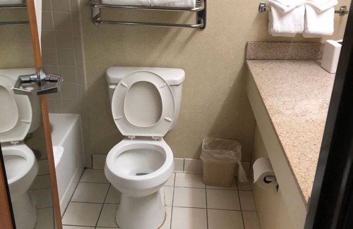 Wayne Hotel | Welcoming Holiday Inn Indianapolis Airport Area N Awaits You