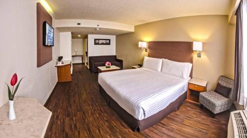 Orizaba Hotel | Discover Holiday Inn Orizaba: Family-Friendly with Pool