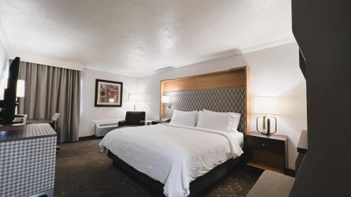Rock Springs Hotel | Discover Holiday Inn Rock Springs: A Pet-Friendly Retreat