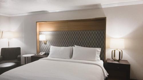 Rock Springs Hotel | Discover Holiday Inn Rock Springs: A Pet-Friendly Retreat