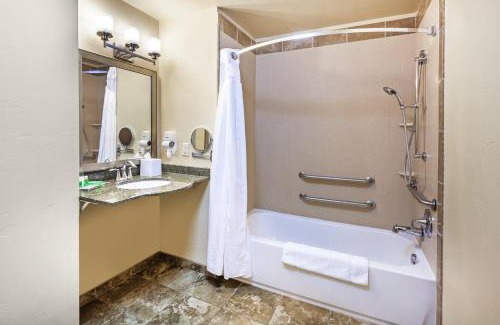 Durango Hotel | Pet-Friendly Holiday Inn & Suites Durango Downtown Awaits