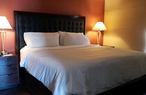 Williamsport Hotel | Enjoy a Relaxing Stay at Holiday Inn Williamsport