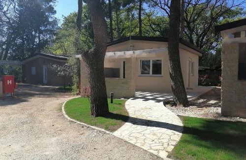 Basanija Resort | Oceanfront Getaway at Holiday Park Mimoza - 10/10 Reviews